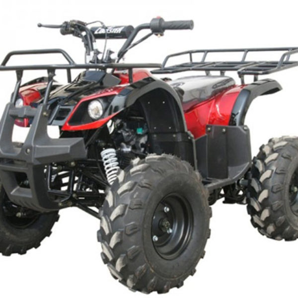 Atvs – Windham Powersports