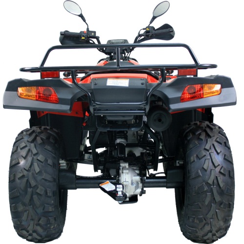 Coolster Monster 300 4x4 Wheeler Utility 'EFI' - Image 5