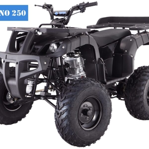 RHINO 250 2×4 Four Wheeler Utility
