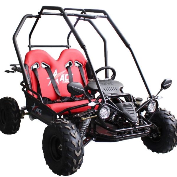 ACE Power GK125 Go Kart 2 Seater w/ Roll Cage