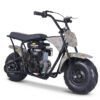 TaoTao DB100 Mini Bike 49cc Fully Automatic! Rigid Frame!