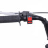 TaoTao DB100 Mini Bike 49cc Fully Automatic! Rigid Frame! - Image 5