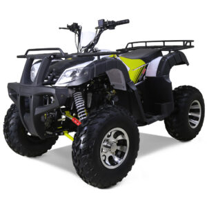 Tao Motors BULL 200-S