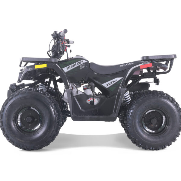 Pro Mudhawk 10 125cc Premium Youth Wheeler