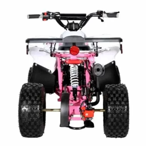 Coolster Sportster 110cc 6″ rims Youth Machine